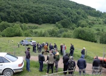 Bespravna sječa šume u ataru sela Škrijelje (video)