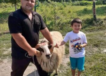 BJELOPOLJSKI MUSLIMANI TRADICIONALNO OBILJEŽILI PRVI DAN KURBAN BAJRAMA