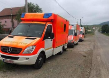 Raznim vrijednim donacijama, dijaspora pomogla Gornjoj Pešteri (video)