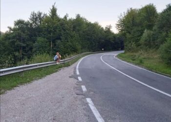 Tužna slika BiH/Dječak u suzama kraj puta jer su mu ukrali kupine koje mu život znače: Svaki dan ide u šumu…