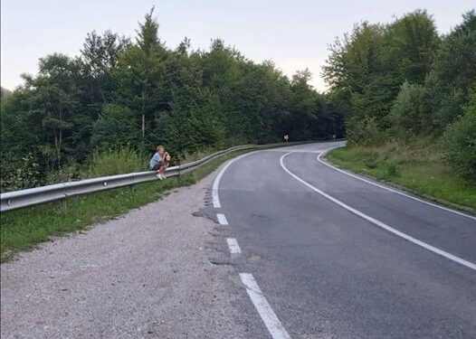 Tužna slika BiH/Dječak u suzama kraj puta jer su mu ukrali kupine koje mu život znače: Svaki dan ide u šumu…