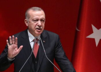 Erdogan: Napravili smo veliki korak u razvoju vakcine protiv koronavirusa