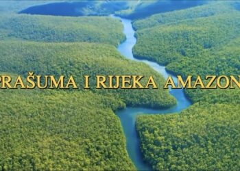 Prašuma i rijeka Amazon, ljepota prirode (video)