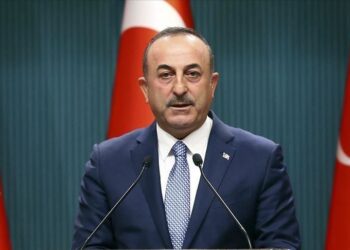 Cavusoglu: Grčka i Egipat krše prava Turske i Libije