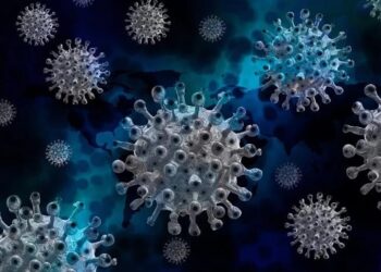 GRAĐANI OLAKO SHVATAJU VIRUS, TREĆI TALAS VJEROVATNO PRIJE JESENI