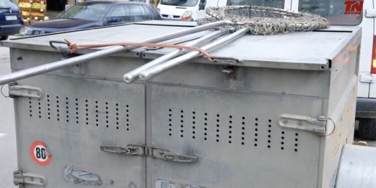 Opštinska komunalna inspekcija u Tutinu, sprovela je akciju humanog zbrinjavanja pasa lutalica (VIDEO)