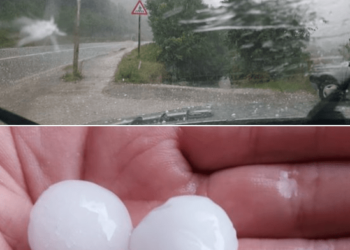 NEVRIJEME U PRIJEPOLJU Grad veličine oraha uništio voćnjake i poljoprivredne usjeve, vjetar OBORIO DRVO na magistralni put