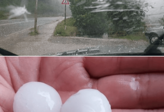 NEVRIJEME U PRIJEPOLJU Grad veličine oraha uništio voćnjake i poljoprivredne usjeve, vjetar OBORIO DRVO na magistralni put