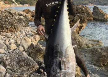 Ulcinjanin ulovio tunu od 109 kilograma na dubini od 12 metara