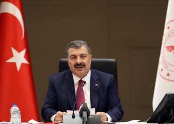 Koca: Turska prolazi kroz drugi vrhunac prvog vala pandemije