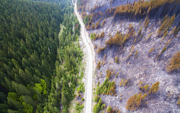 Rožaje:Odgovornih još nema za milionsku štetu