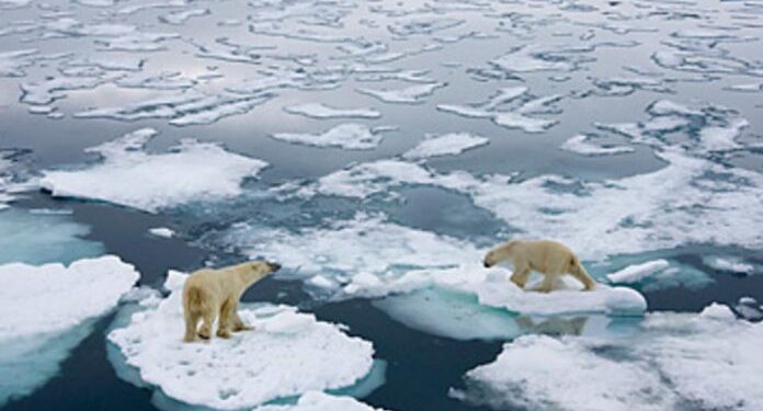 UPRAVO SAOPĆENA ŠOKANTNA VIJEST: AKO JE OVO TAČNO, DŽABA NAM SVE