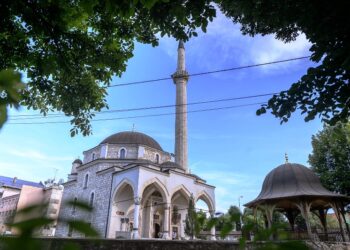 PLJEVLJA– ZA PSOVANJE MAJKE I”MRŠ U DŽAMIJU” KAŽNJEN SA 250 eura…