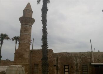BOŠNJACI U PALESTINI-BOŠNJAČKO SELO U PALESTINI I PREZIME BOSHNAQ !