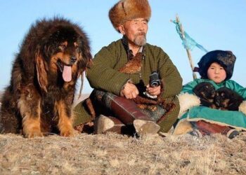 Kako je pas zadavio kršćanskog misionara koji je vrijeđao Muhammeda, sallallahu alejhi ve sellem