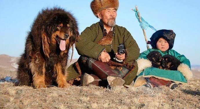 Kako je pas zadavio kršćanskog misionara koji je vrijeđao Muhammeda, sallallahu alejhi ve sellem