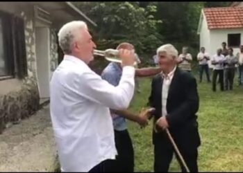 Povratak do majmuna