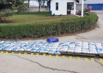 Na granici sa Srbijom otkriveno 130 kilograma marihuane u kamionu sa parketom
