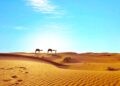Da li će Zemlja za 50 godina biti „vrela“ kao Sahara?