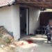 Dileri mladiće brutalno mučili jer im je ukradena droga: Jednog objesili o gredu i gušili folijom, drugog izrešetali