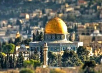 Turska ulema pozvala da se pokrene međunarodni sudski proces protiv Izraela za zločine u Palestini