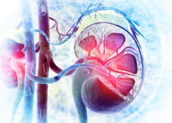 VEZA IZMEĐU BOLESTI BUBREGA I DIJABETESA