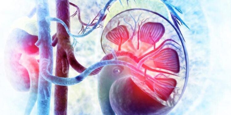 VEZA IZMEĐU BOLESTI BUBREGA I DIJABETESA