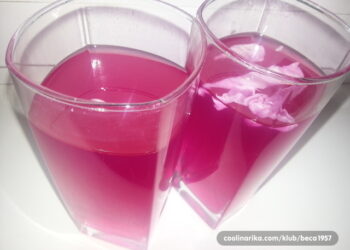 KISELI KUPUS: PET RAZLOGA ZBOG KOJIH BISMO TREBALI POPITI ČAŠU RASOLA