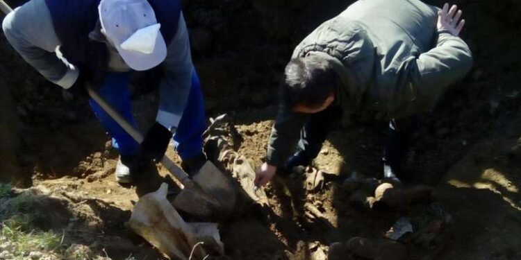 Na području Srebrenice otkrivena masovna grobnica