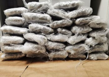 Uhapšen na Ibarskoj magistrali sa 22 kilograma marihuane