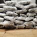 Uhapšen na Ibarskoj magistrali sa 22 kilograma marihuane