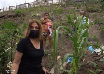 (VIDEO) Stanovnici Rio de Janeira okreću se održivoj poljoprivredi