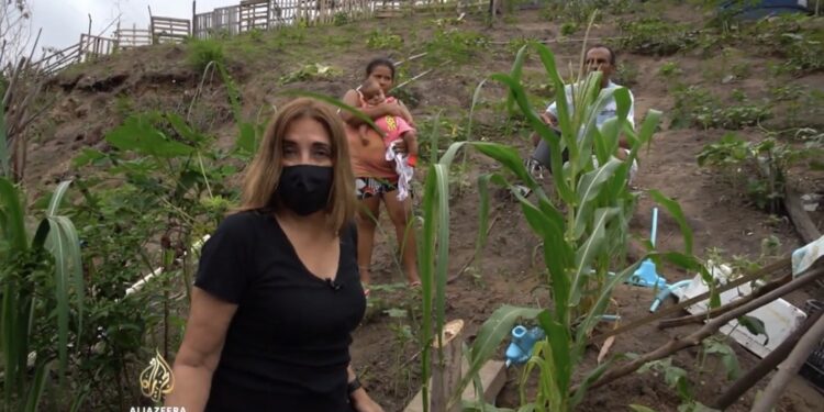 (VIDEO) Stanovnici Rio de Janeira okreću se održivoj poljoprivredi