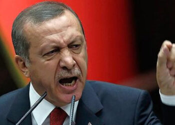 Erdogan: Islamofobija se širi brže od koronavirusa