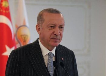 ERDOGAN: TURSKA ULAZI U ERU PROCVATA