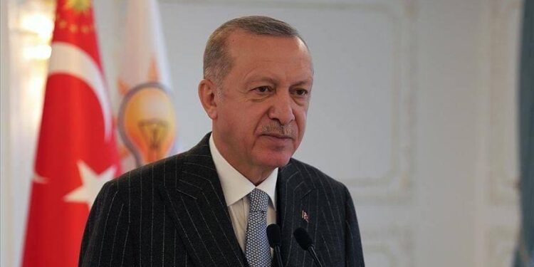 ERDOGAN: TURSKA ULAZI U ERU PROCVATA