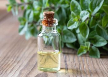 ULJE DIVLJEG ORIGANA JE NAJTRAŽENIJI PRIRODNI LIJEK