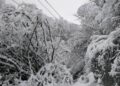 Zapadni Sandžak: Teške posljedice sniježnog nevremena, oboreni dalekovodi