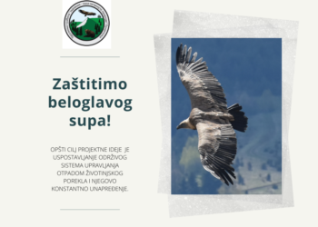 POKRENUTA INCIJATIVA DA SE ZAŠTITE BJELOGLAVI SUPOVI