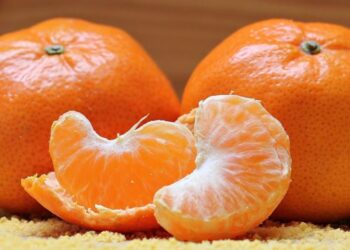 VRIJEME JE MANDARINA: EVO ZBOG ČEGA IH TREBAMO SVAKODNEVNO JESTI