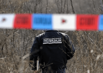 UBIJENI TOKOM POTRAGE ZA TARTUFIMA Otkriveno kako je došlo do STRAVIČNOG ZLOČINA u šumi