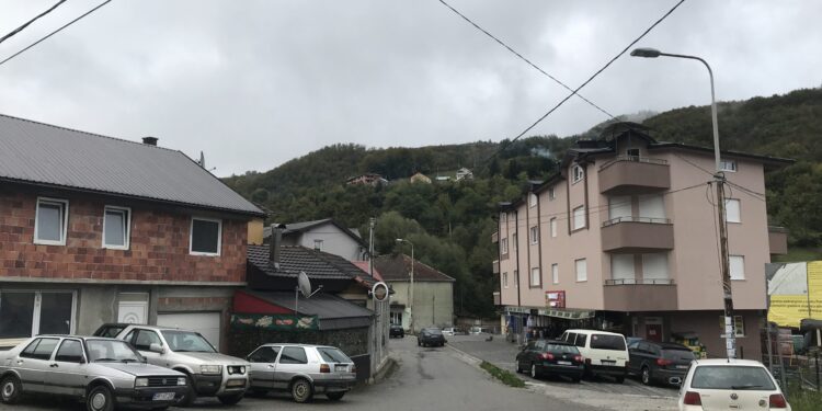 DRUGA ŽRTVA KORONA VIRUSA U PETNJICI