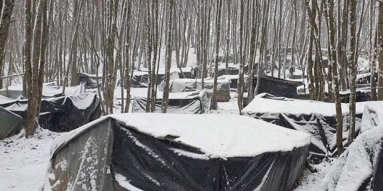 Migrantima u šumama oko Velike Kladuše i Bihaća prijeti katastrofa