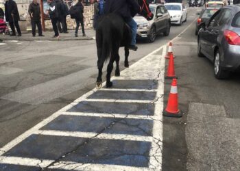 NEVJEROVATNO! Novopazarcu žandari oduzeli vozilo, sada kroz grad jaše konja (FOTO/VIDEO)