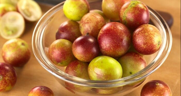 VITAMINSKA BOMBA ZA KOJU NIKADA NISTE ČULI: OVO VOĆE JE NAJVEĆI IZVOR VITAMINA C