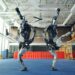 Roboti kompanije Boston Dynamics oduševili svijet plesnim potezima (VIDEO)