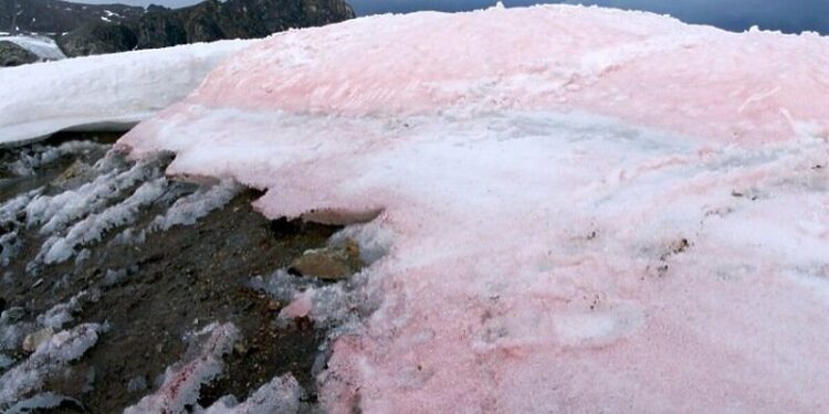 Meteorolozi u Njemačkoj najavili crveni snijeg ovog vikenda