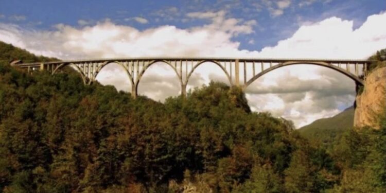 SANDŽAK: TARSKI GOROSTAS – SVJETSKI A NAŠ