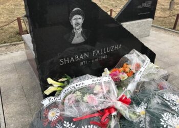 76 GODINA OD HEROJSKE POGIBIJE ŠABANA POLUŽE