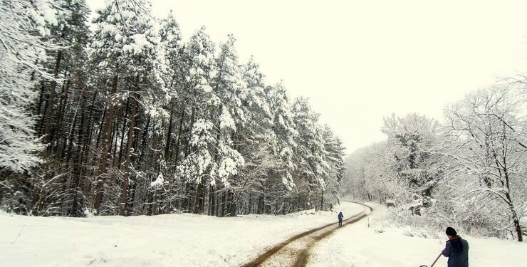POLICAJCI ŠOKIRANI: ČOVJEK JE LEŽAO U SNIJEGU, A KADA SU PRIŠLI, IMALI SU ŠTA VIDJETI